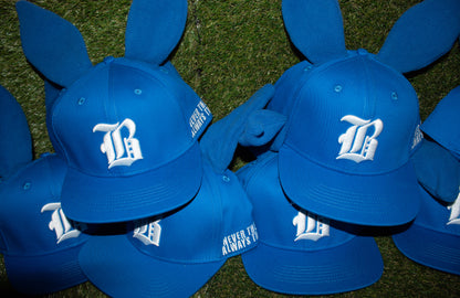 BLUE Bunny Hats