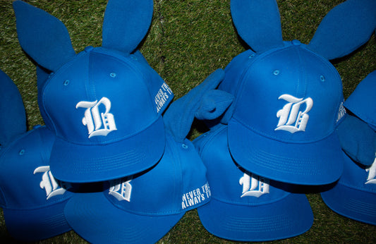 BLUE Bunny Hats