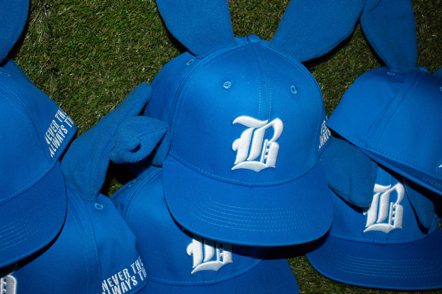 BLUE Bunny Hats