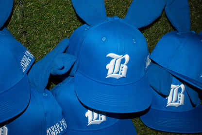 BLUE Bunny Hats