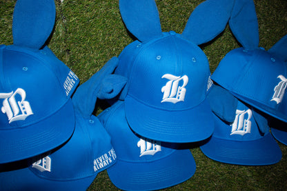 BLUE Bunny Hats
